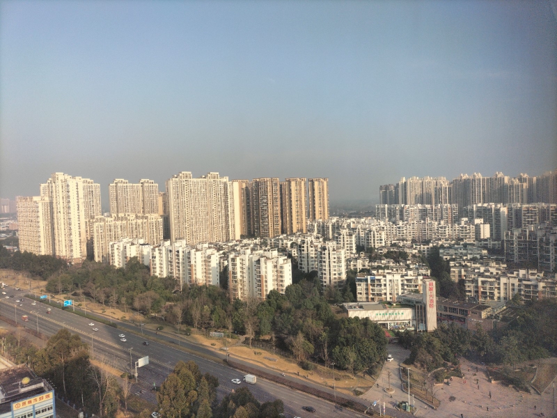 成都經(jīng)開(kāi)區(qū) 1000㎡標(biāo)準(zhǔn)廠房出售 獨(dú)門(mén)獨(dú)院戶(hù)型獨(dú)立產(chǎn)權(quán) 臨地鐵高鐵