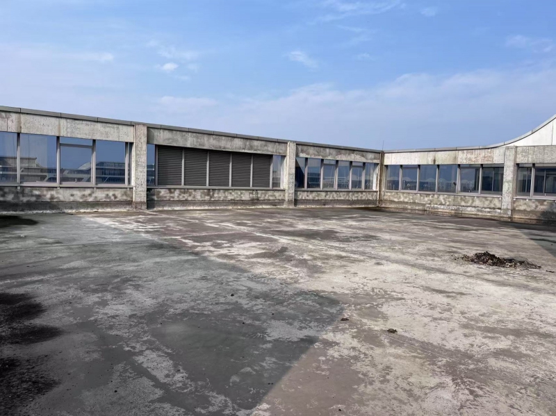 新津產業園區廠房出租面積可分割