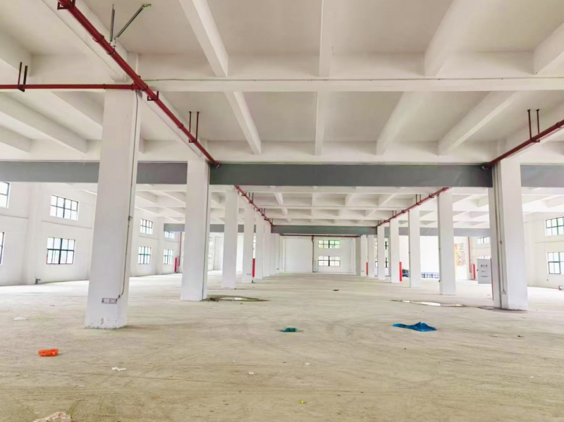 【鶴山優(yōu)質(zhì)工業(yè)廠房招租】珠三角樞紐·分層高標(biāo)空間·靈活租賃·適配多行業(yè)