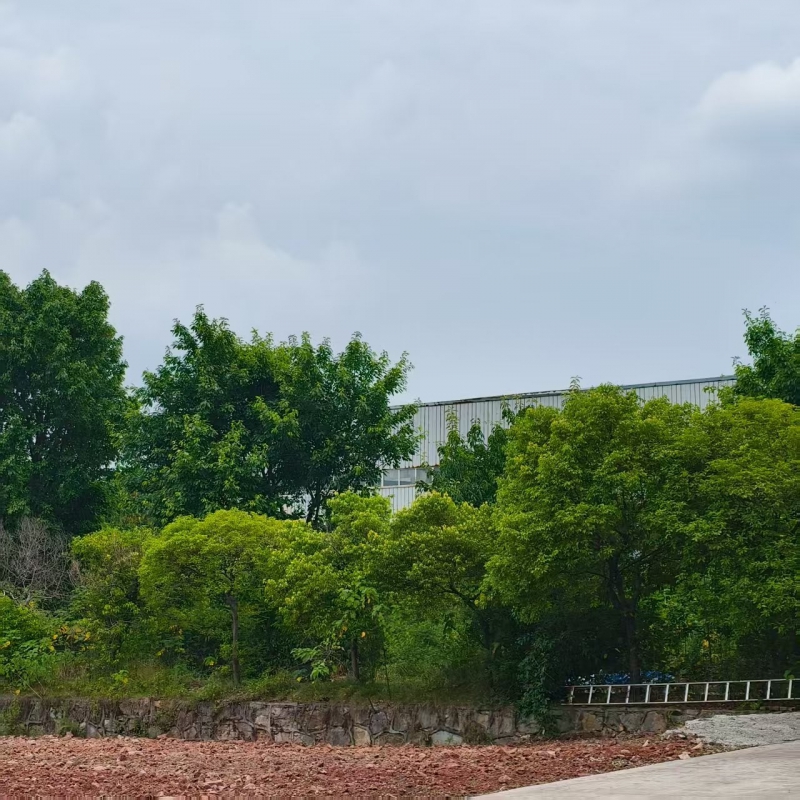 前鋒區(qū)工業(yè)廠房,總面積17818㎡,證件齊全,獨立產(chǎn)權