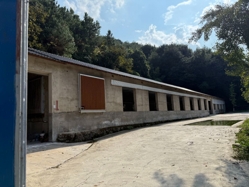 杭州建德市 20畝 生態養殖基地 7豬舍 全配套環評設施【面議】